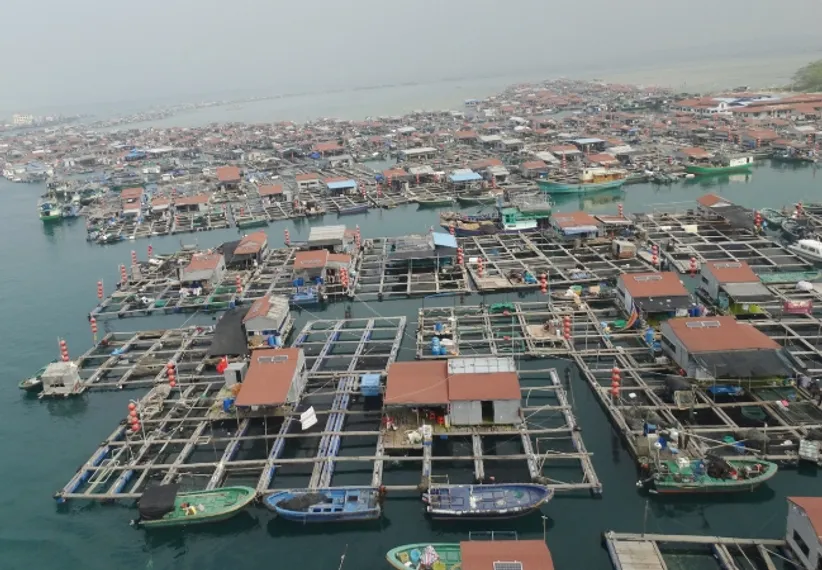 Капитал - Хайнань – восточные Гавайи