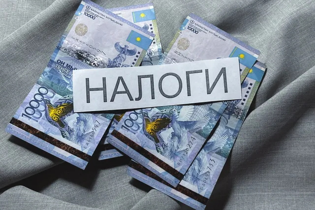 Фото: Валерия Змейкова