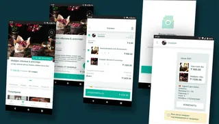 Капитал - Стартап GREEN BEE привлек инвестиции