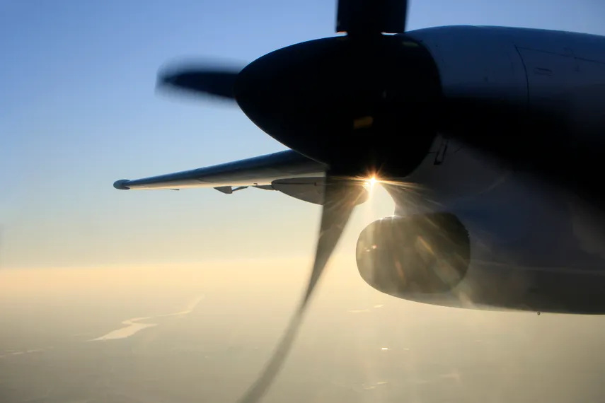 Фото: Руслан Пряников