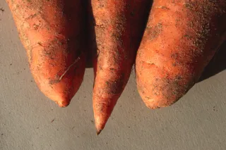 Фото: Валерия Змейкова