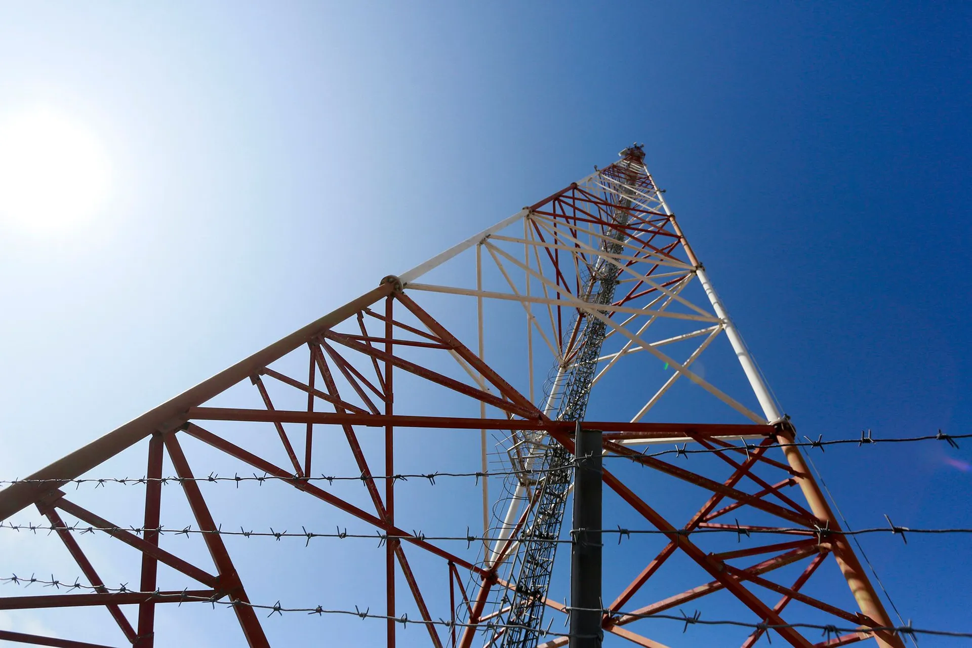 Фото: Руслан Пряников