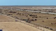 Фото: сайт министерства сельского хозяйства