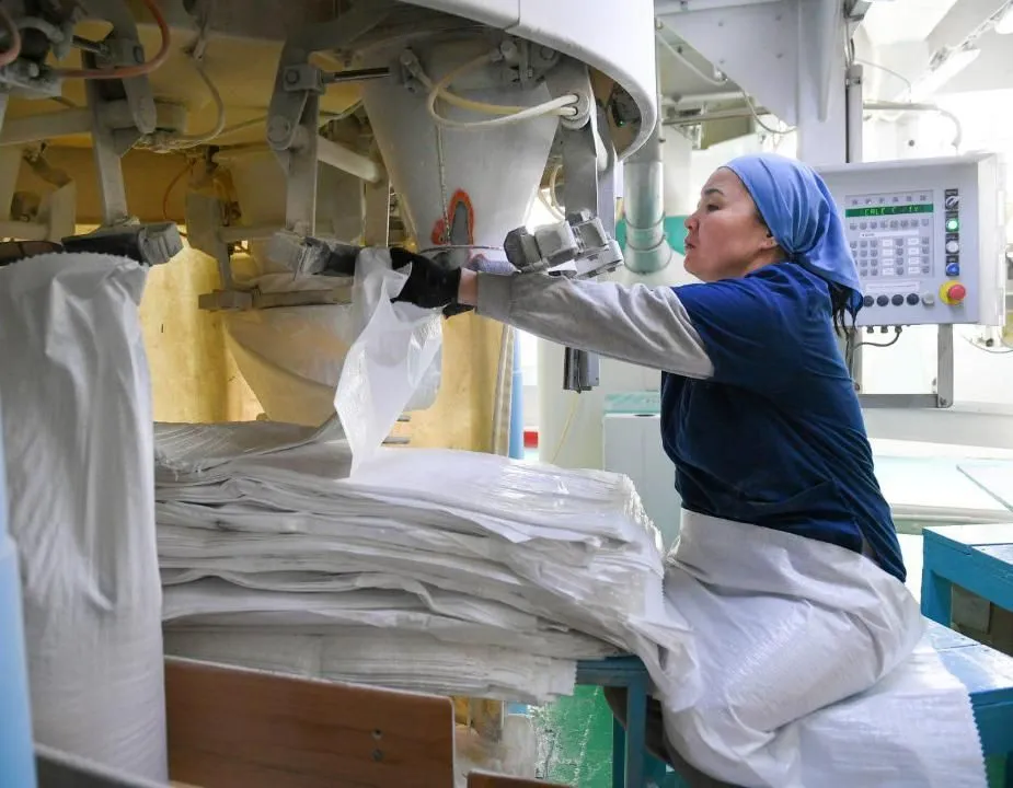 АзияАгроФуд получил 2,5 млрд тенге из бюджета на проект по глубокой переработке кукурузы 