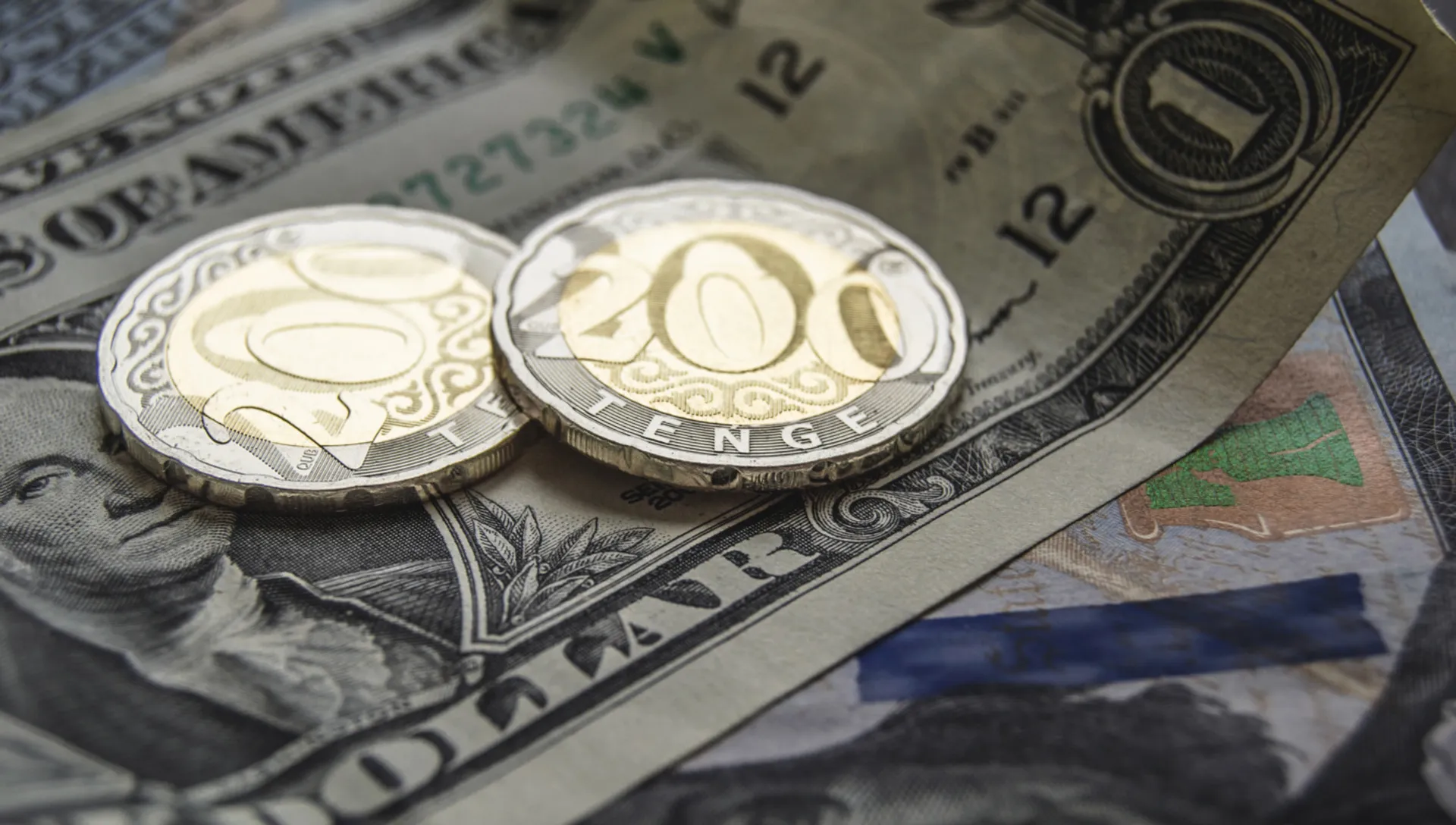 Фото: Валерия Змейкова