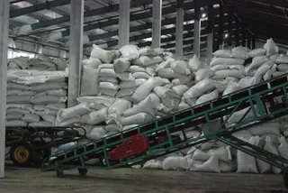 Капитал - Бизнесмены из КНР построили первый в РК завод по производству рапсового масла