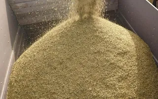 Фото: Министерство сельского хозяйства РК 