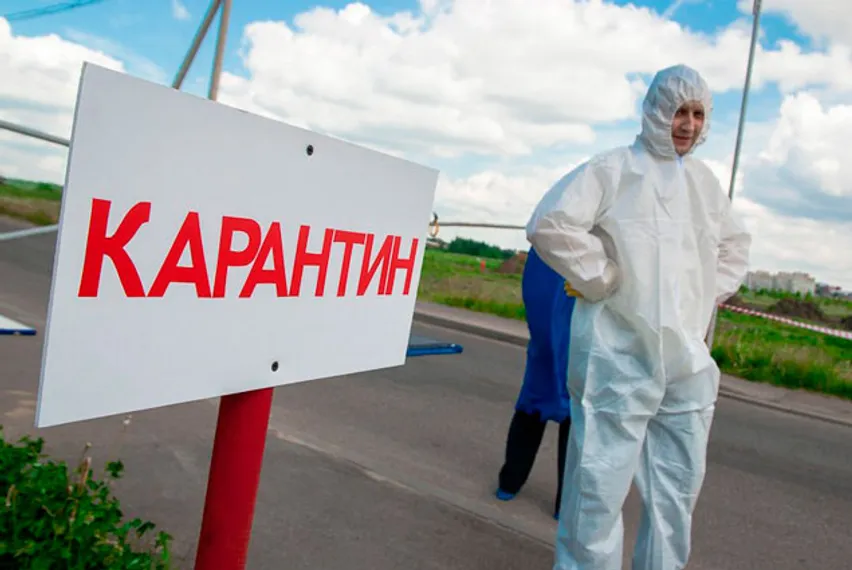 Капитал - В Кыргызстане не смогли определить источник заражения чумой