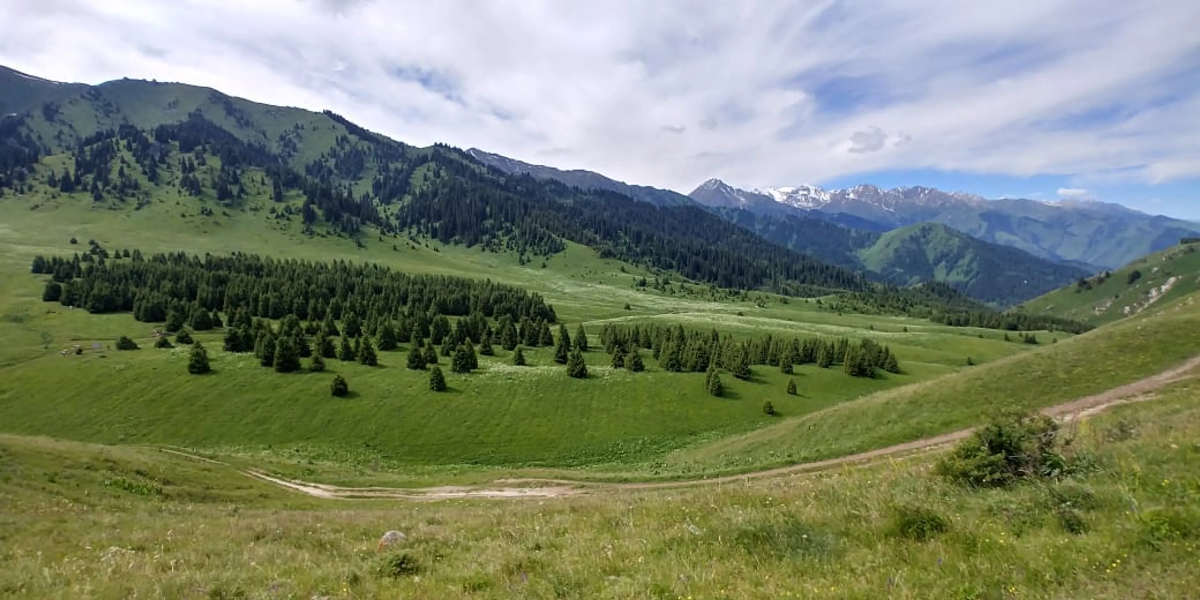 Капитал - Частную землю в урочище Кок-Жайлау вернут государству