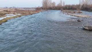 Капитал - Около 304,3 млн кубометров воды прибыло в Казахстан по рекам Шу и Талас 