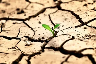 Капитал - 2015 и 2016 годы могут стать самыми жаркими в истории наблюдений