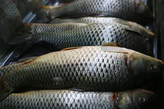 Фото: Руслан Пряников