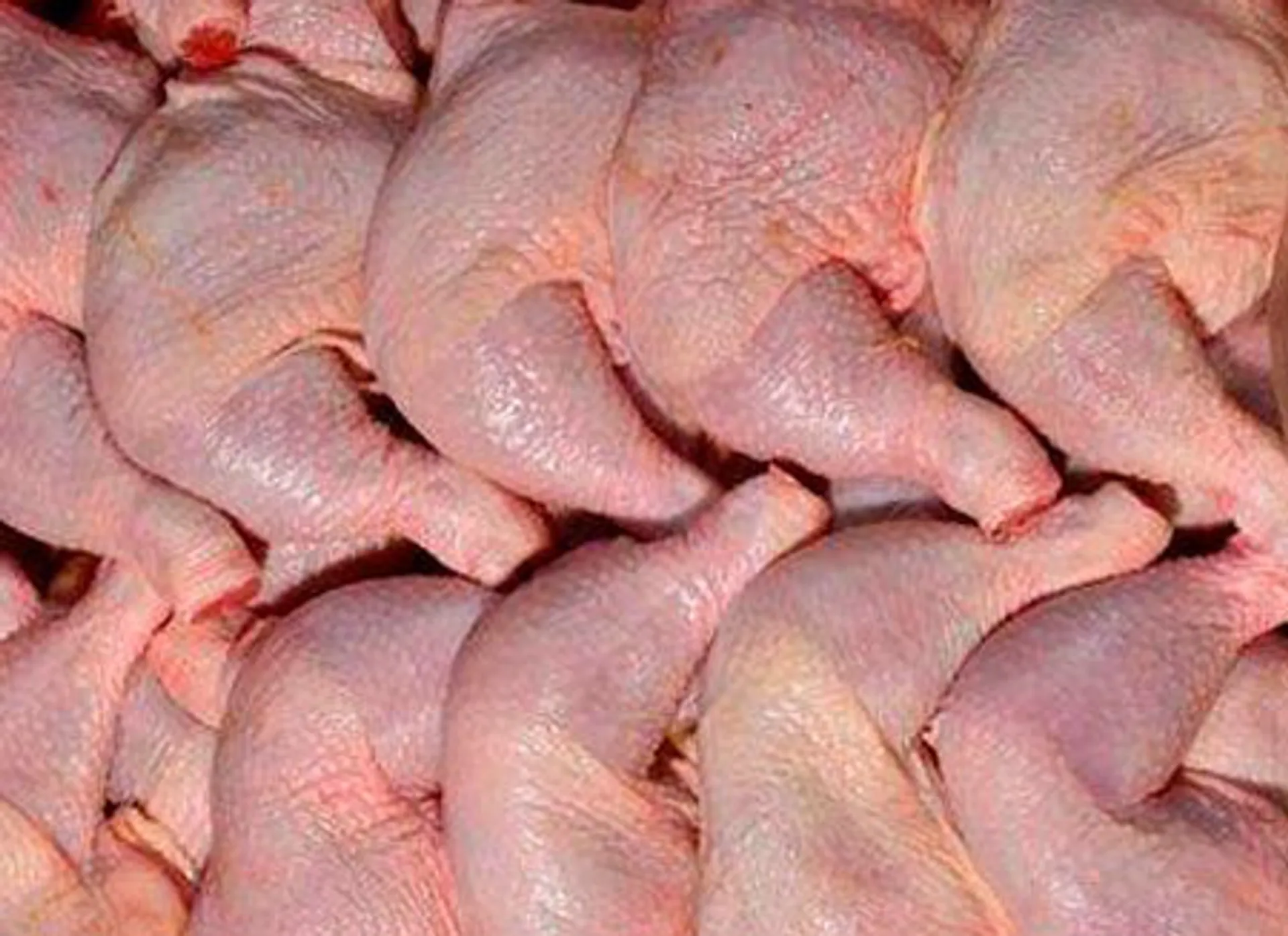 Капитал - Тонны контрабандного мяса обнаружили пограничники