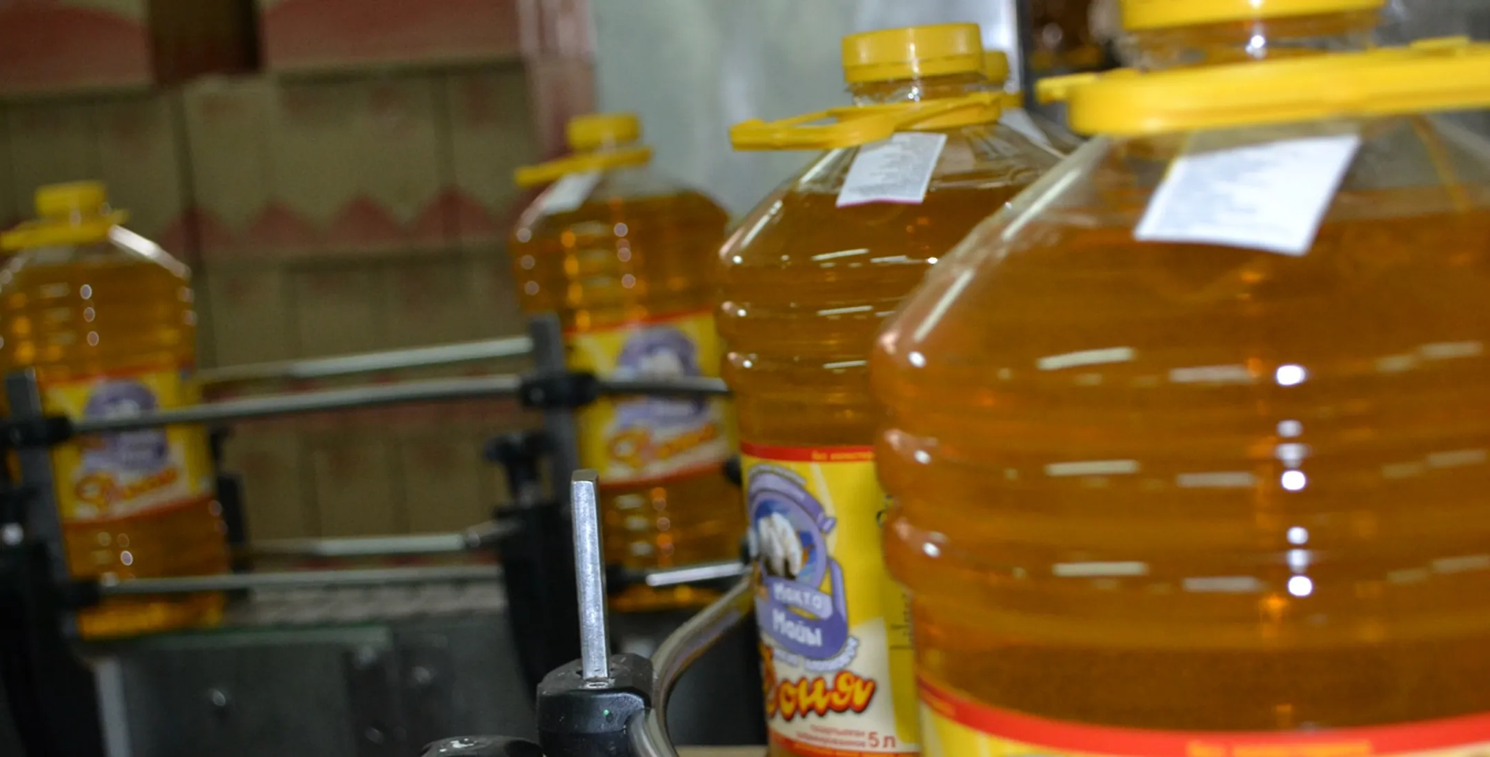 Тернистый путь к успеху - Image Kapital.kz