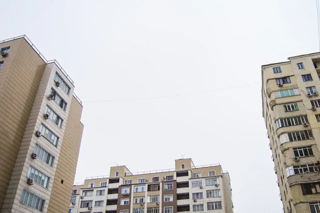 Фото: Валерия Змейкова