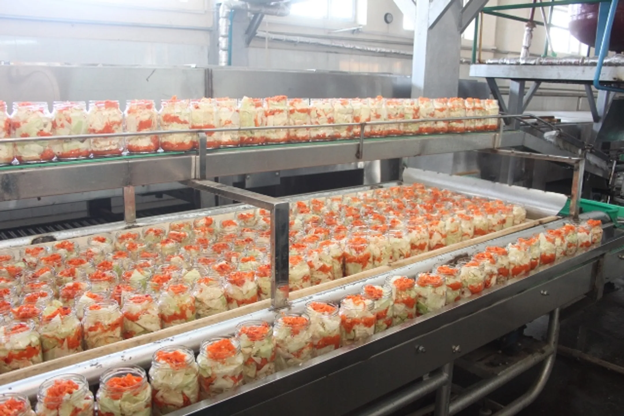 Предприниматель из ЮКО экспортирует овощные консервы в Китай - Image Kapital.kz