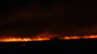 Капитал - В Алматинской области сгорело 20 гектаров сухостоя