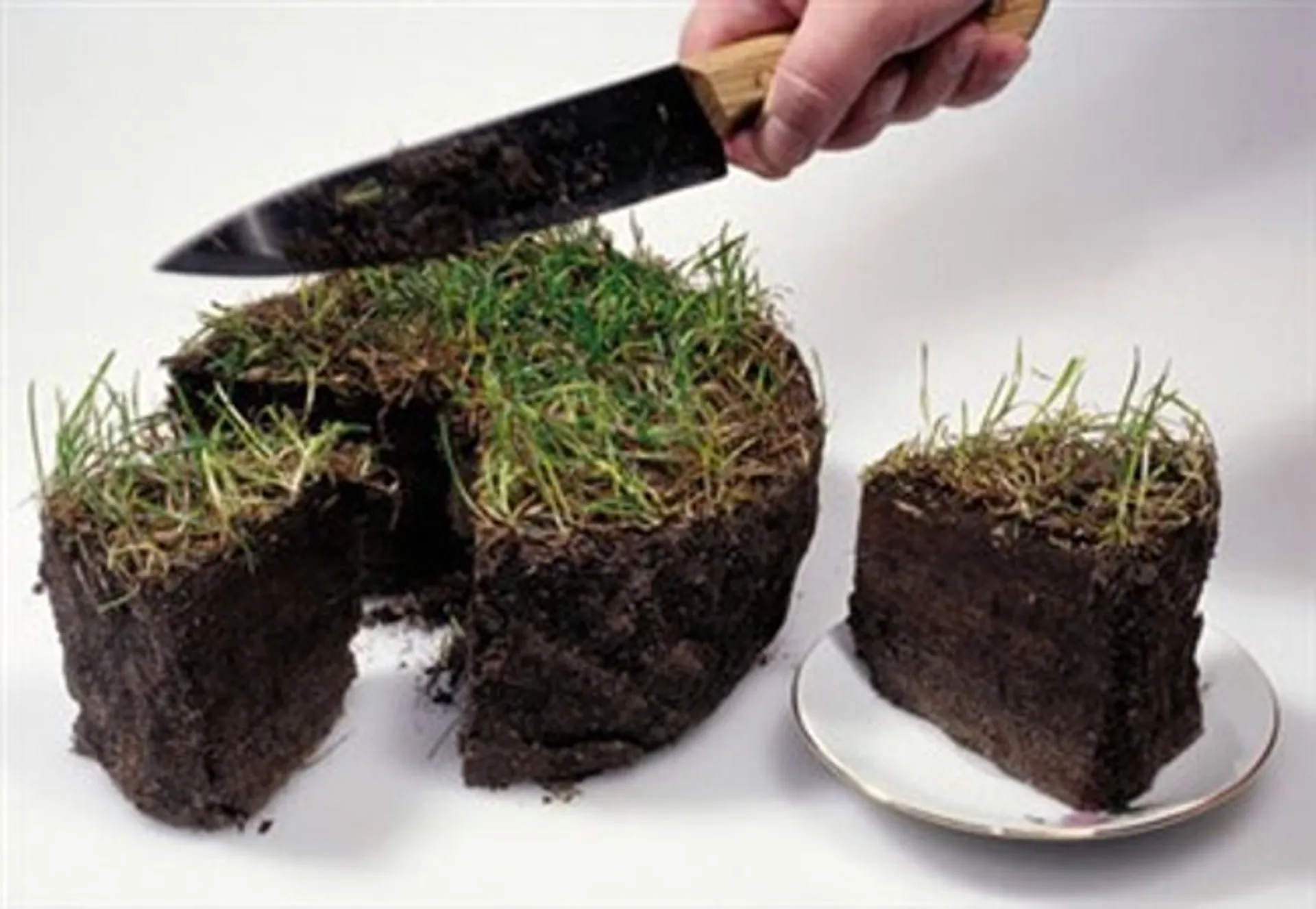 Капитал - Повышение налога повысит эффективность использования земель