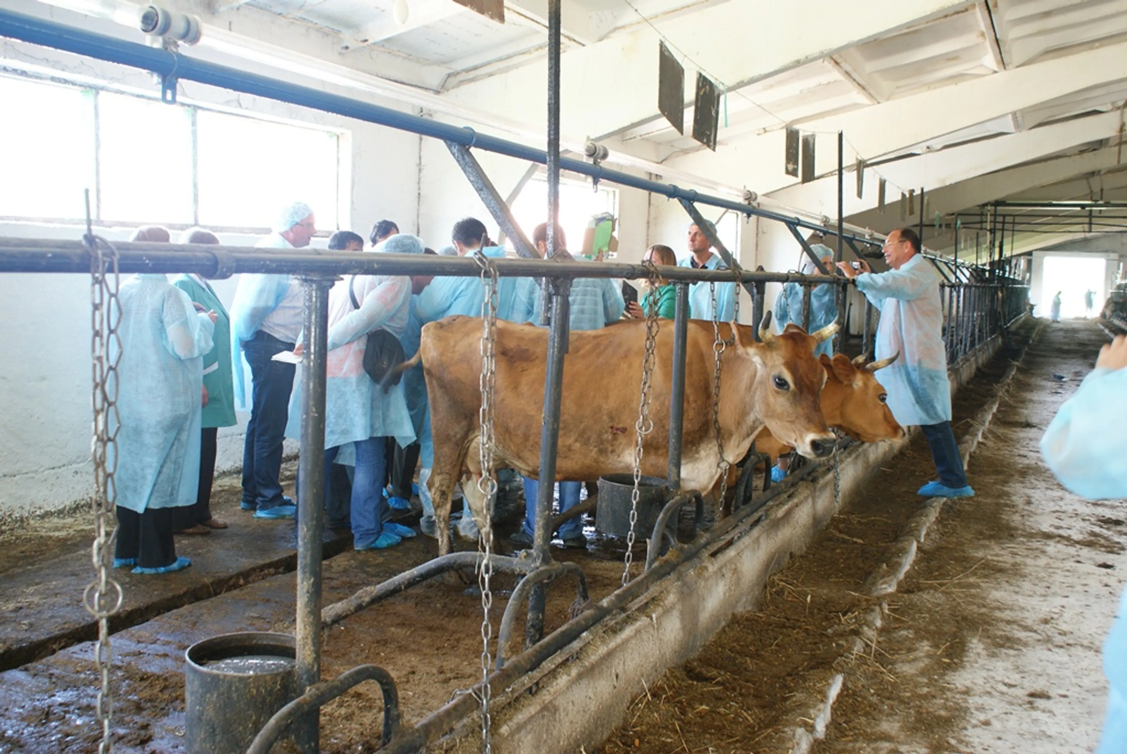 Капитал - РК получит 400 тыс. евро на подготовку ветеринаров