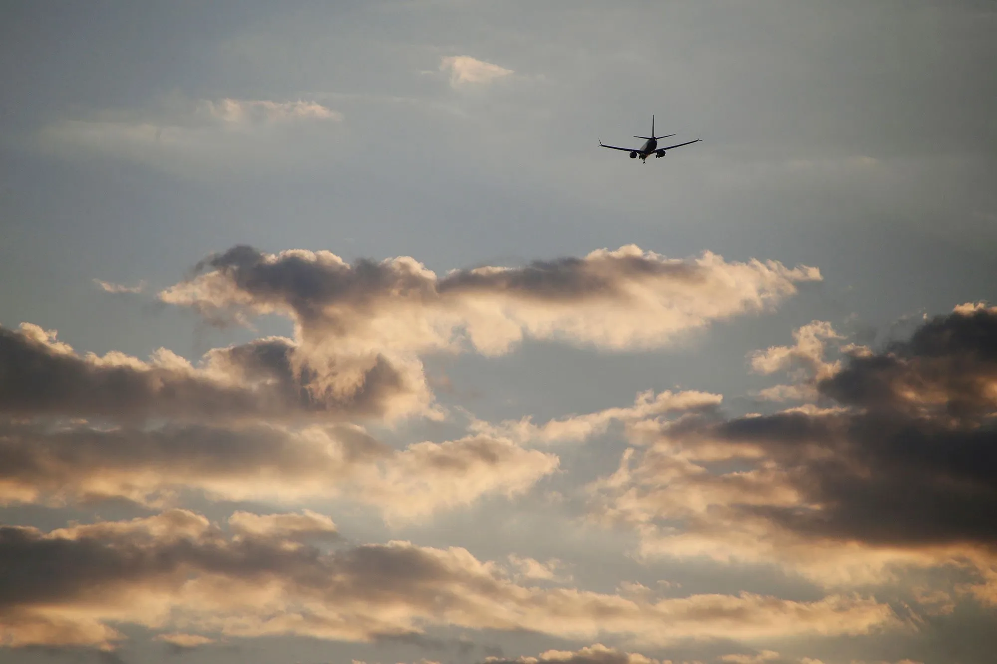 Президент раскритиковал подход к созданию грузовой авиакомпании