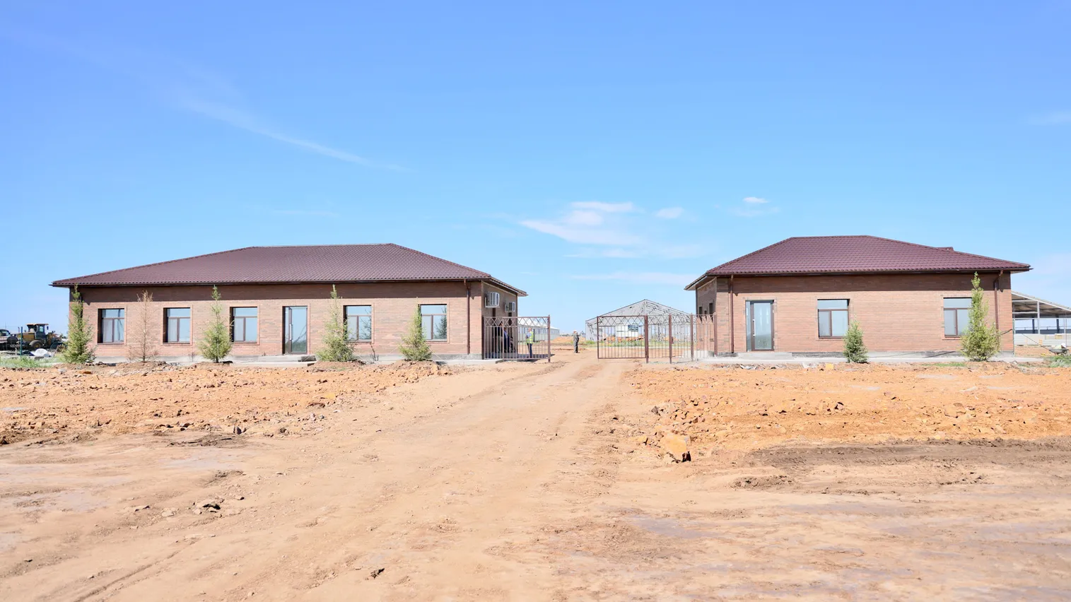 Крупную молочно-товарную ферму запустят в Карагандинской области - фото kapital.kz