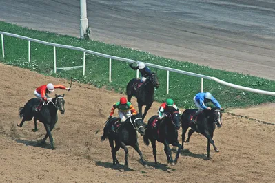 Казахстан получит статус страны, свободной от болезни лошадей