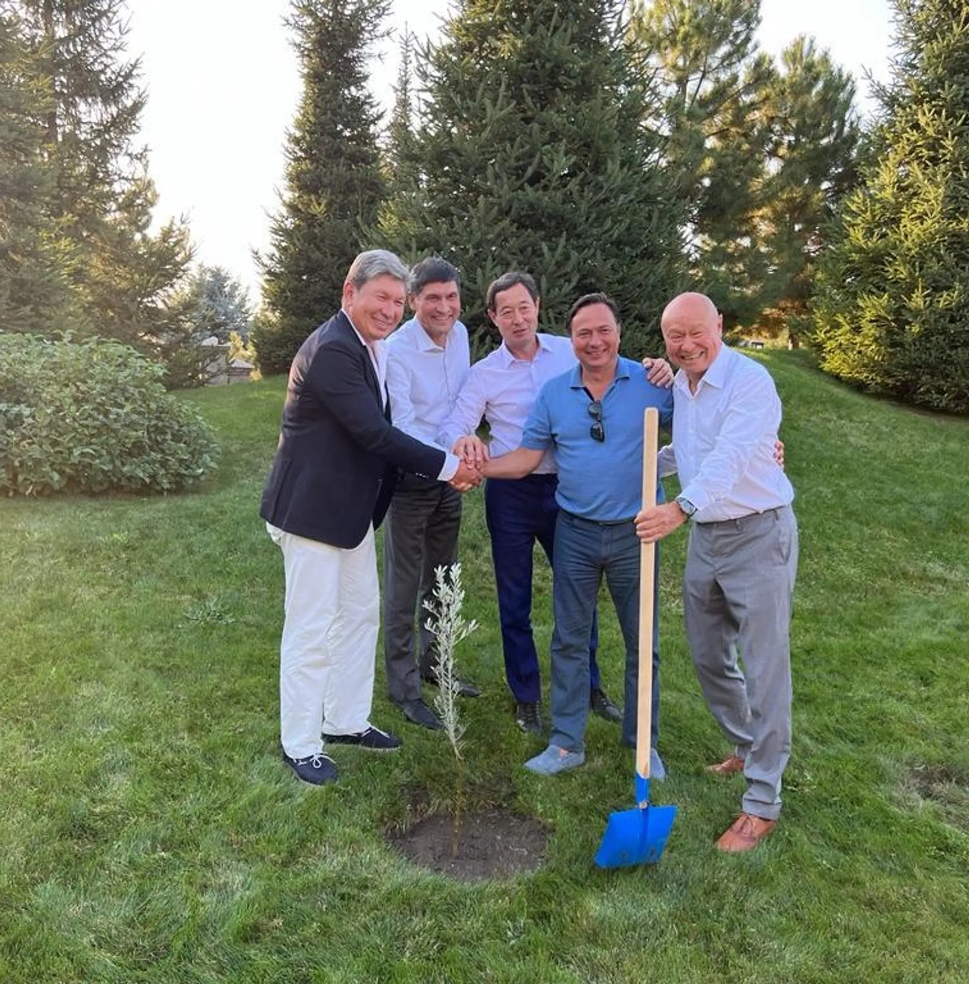 Капитал - В трех областях Казахстана посадят саженцы оливковых деревьев