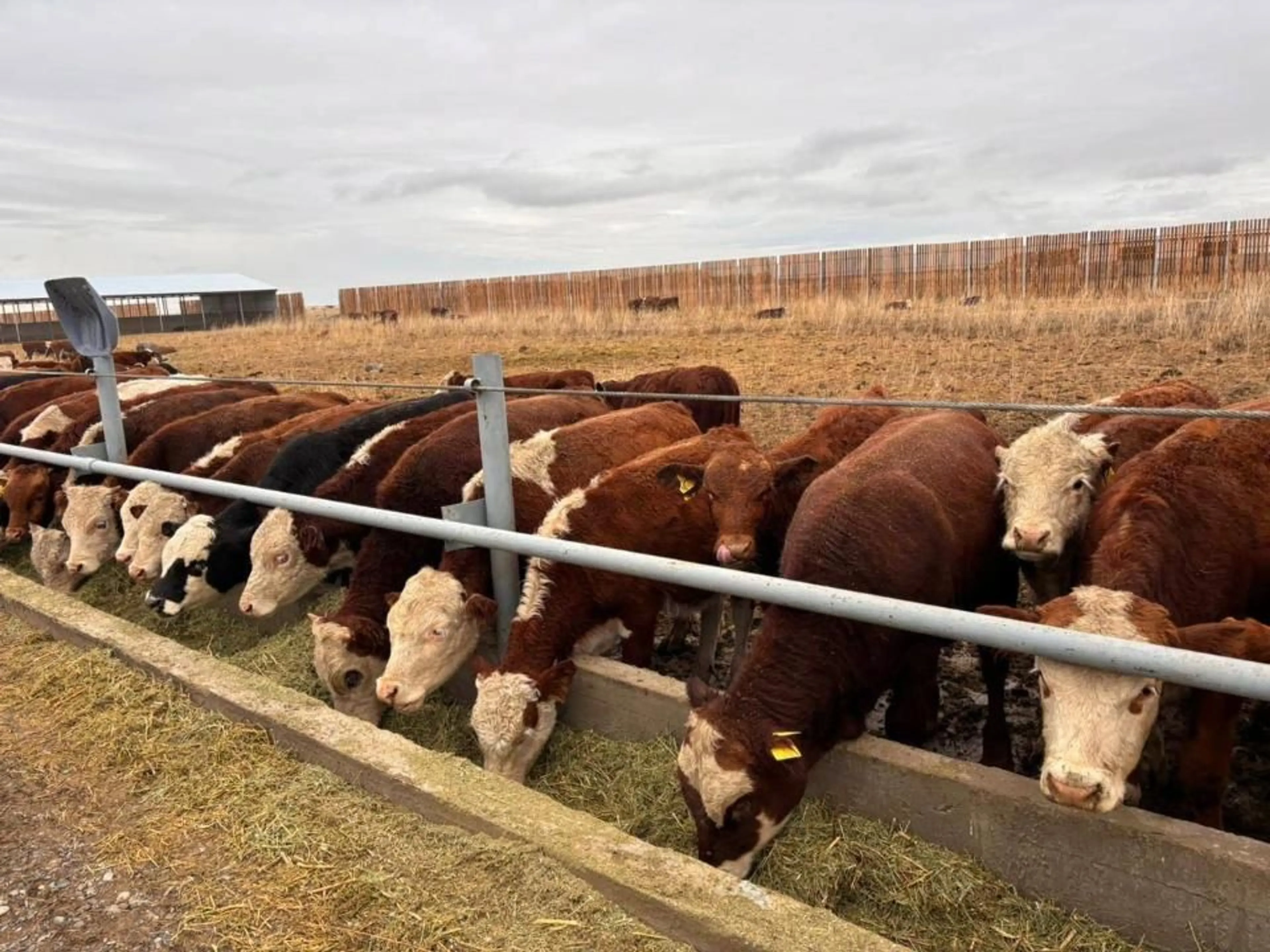 Фото: МСХ РК