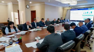 Капитал - Казахстанским селекционерам поручено вывести засухоустойчивые сорта сельхозкультур