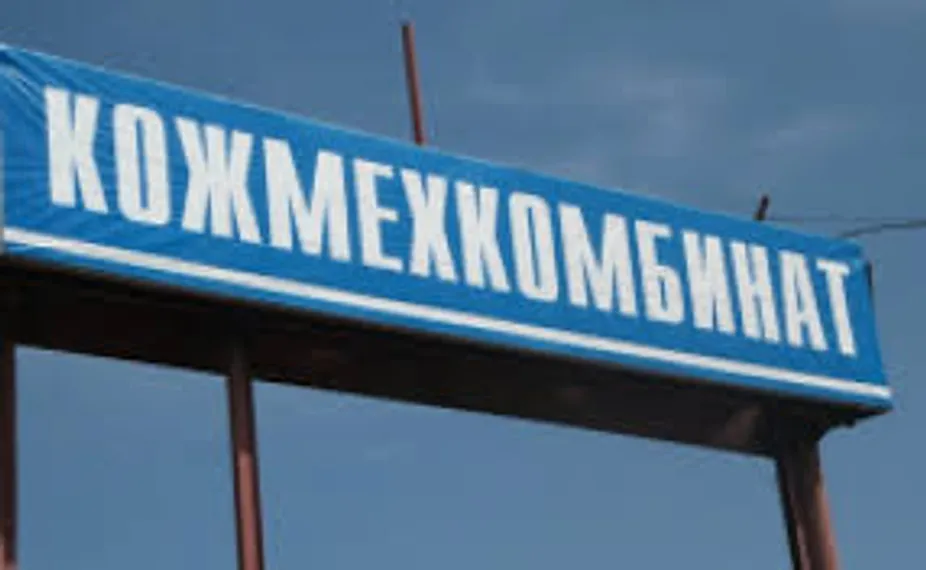 Капитал - «Кожмех» может пойти по пути «Биохима»