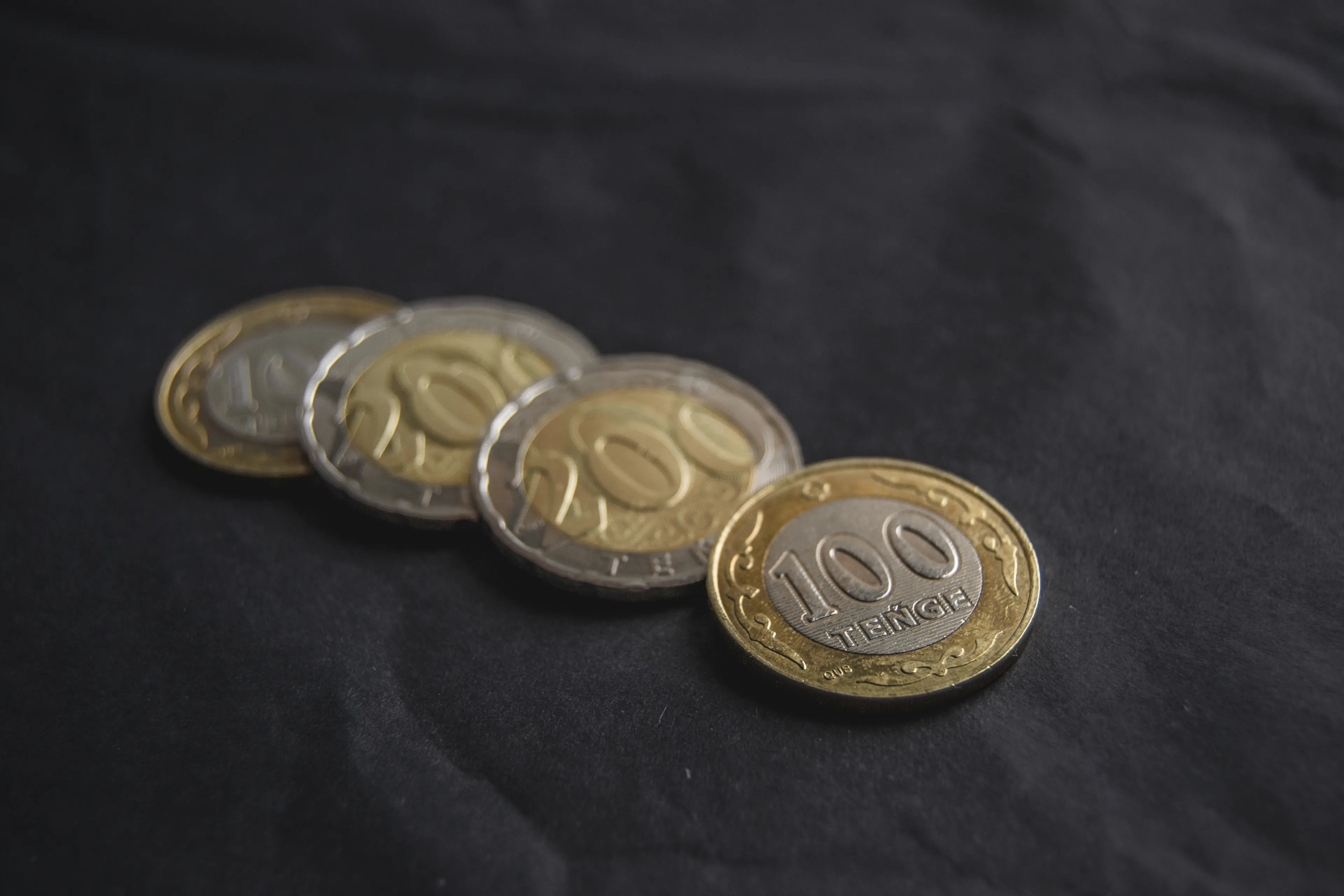 Фото: Валерия Змейкова