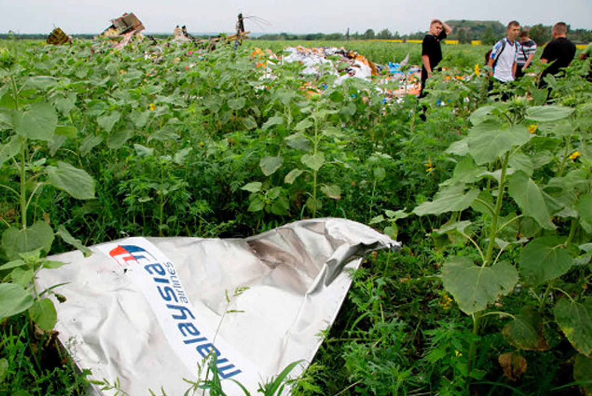 Капитал - Минобороны РФ засекло украинский штурмовик рядом с Boeing