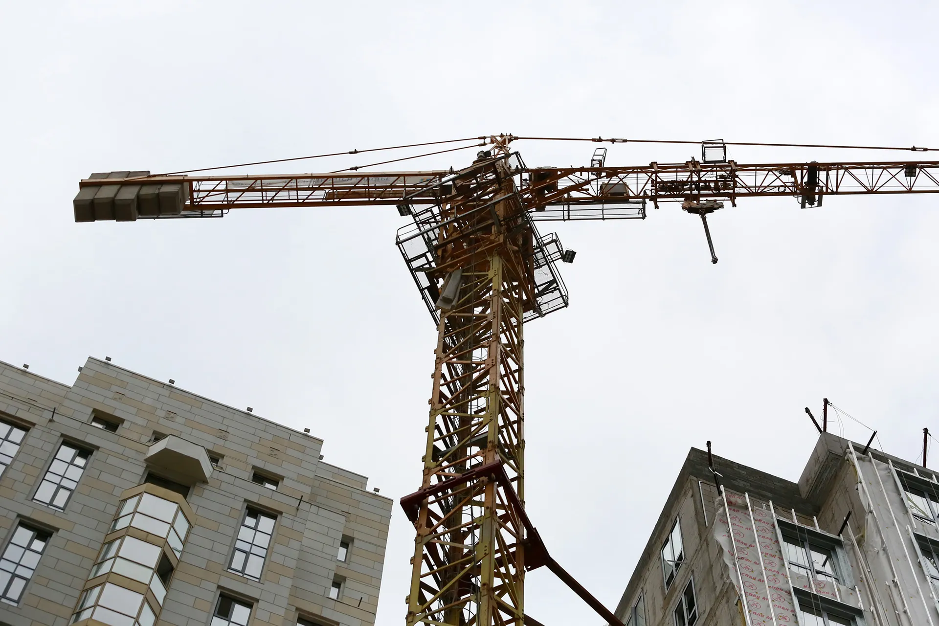 Фото: Руслан Пряников