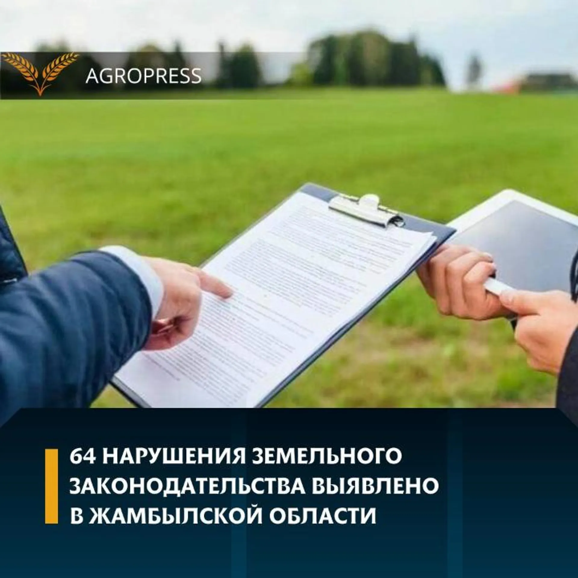 Капитал - В Жамбылской области в госсобственность планируют вернуть 80 тысяч га сельхозземель