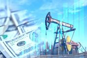 План добычи нефти ОПЕК+ в феврале вырастет на 13 тысяч баррелей в сутки