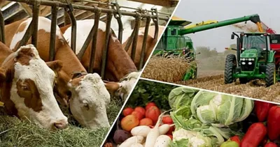 ЮКО лидирует в республике по созданию кооперативов