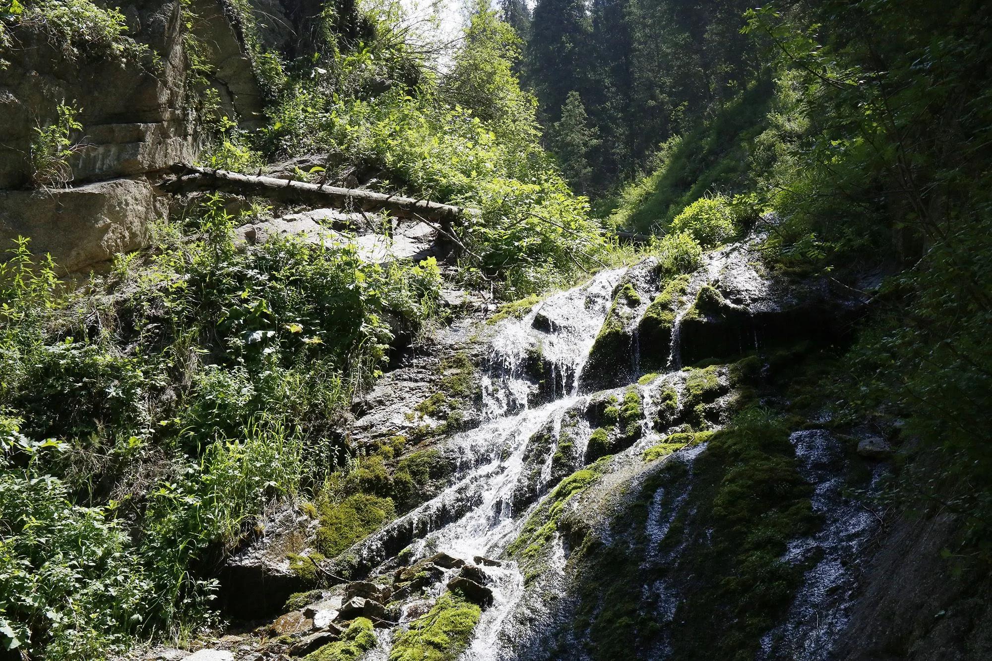 Во всех областных центрах создадут экопарки 