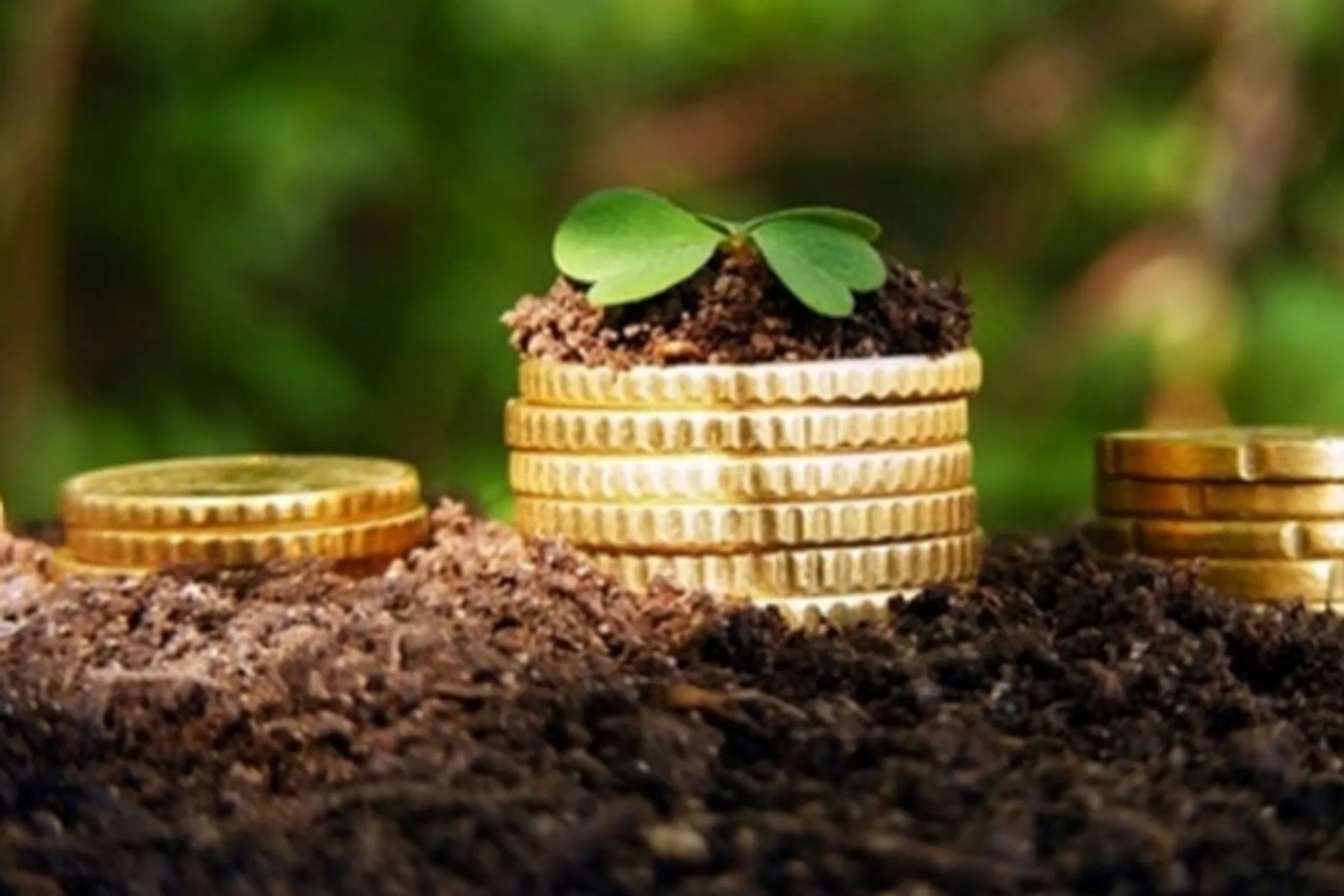 Изображение Kapital.kz