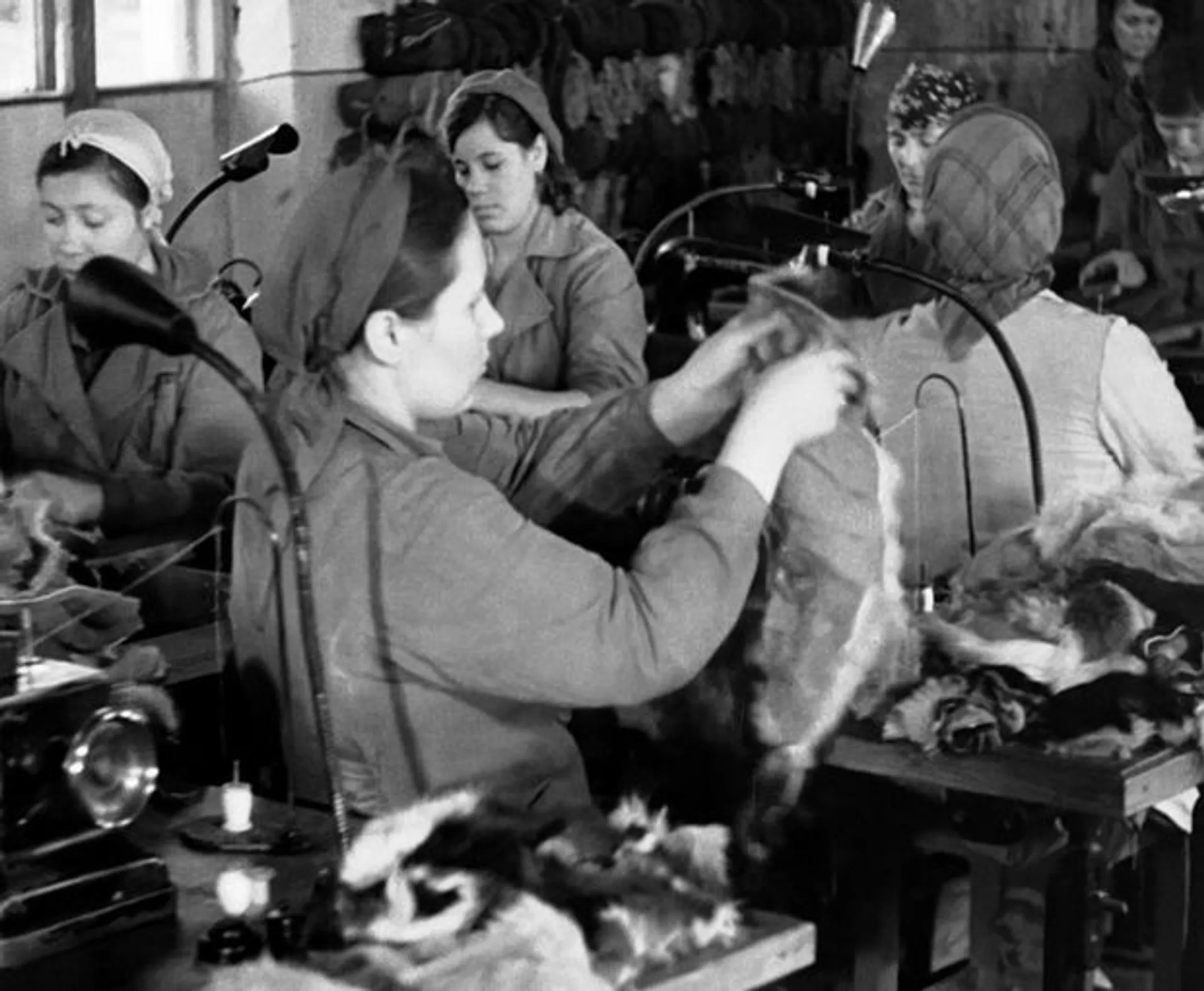 «Предками» MilaVitsa были два брата-француза - Image Kapital.kz