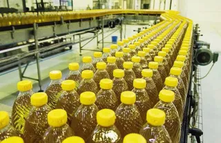 Капитал - Казахстан будет экспортировать подсолнечное масло в Китай