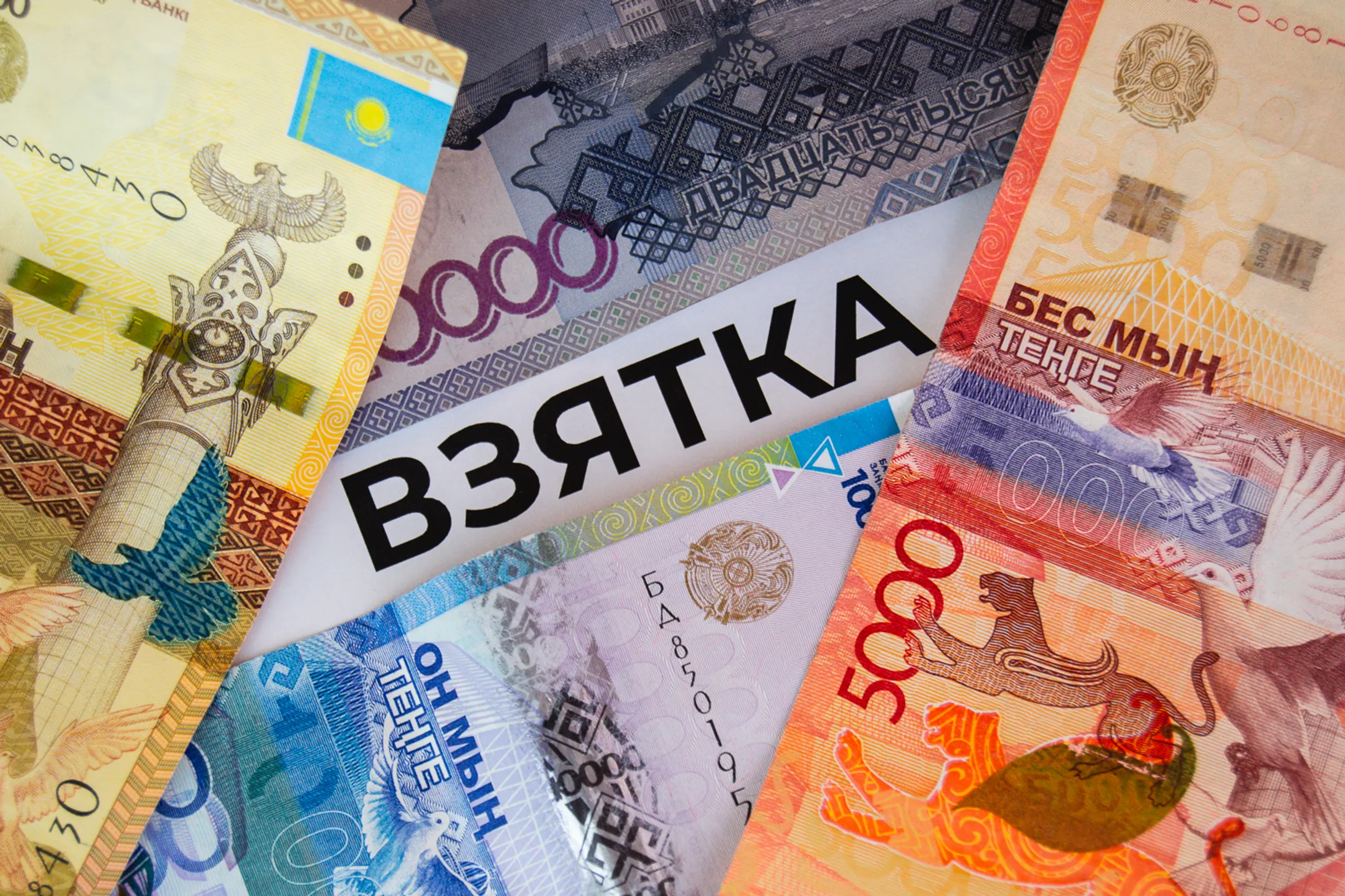 Фото: Валерия Змейкова