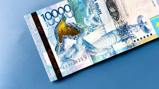 Фото: Валерия Змейкова