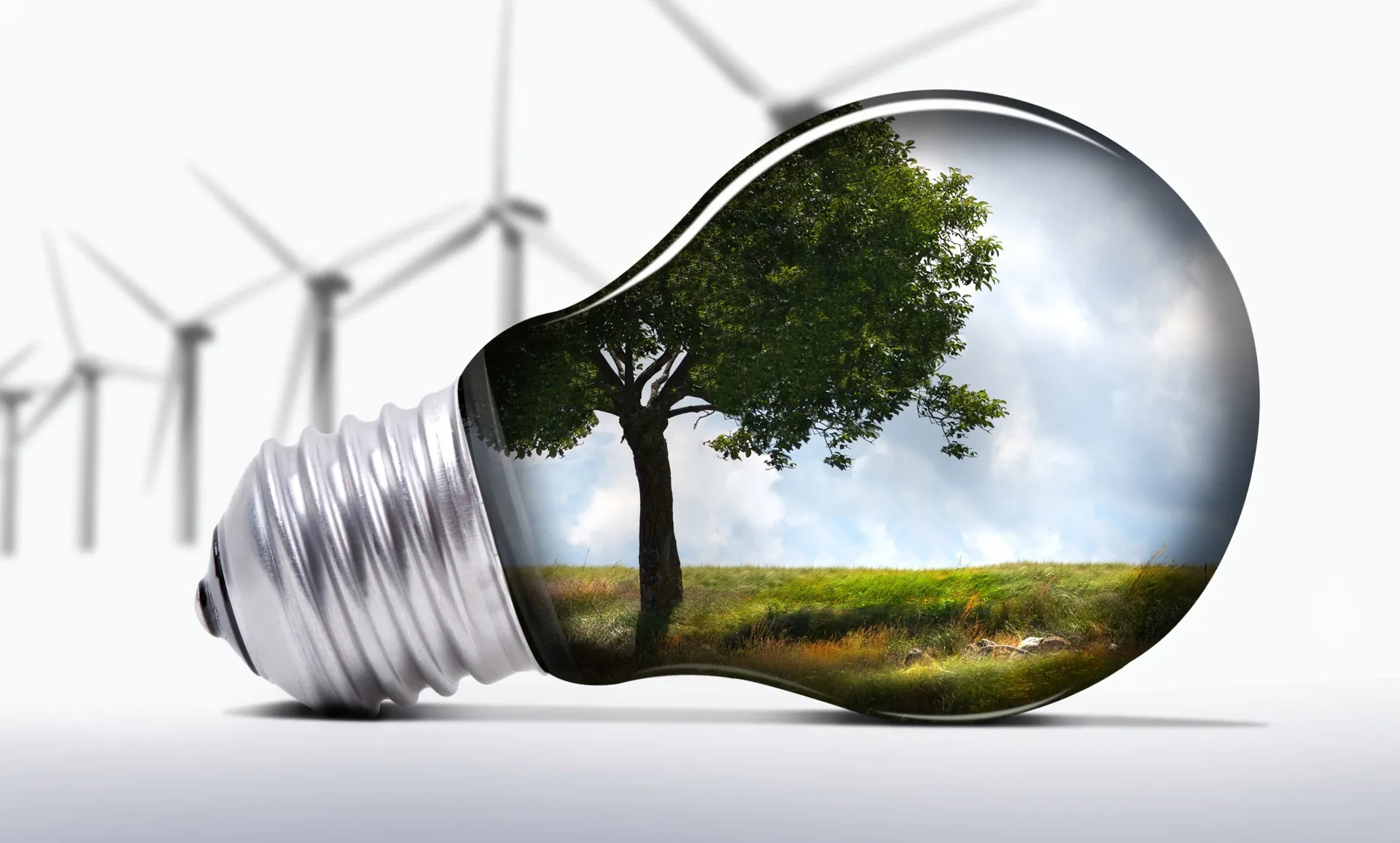 Капитал - Для развития зеленой экономики нужна политическая поддержка