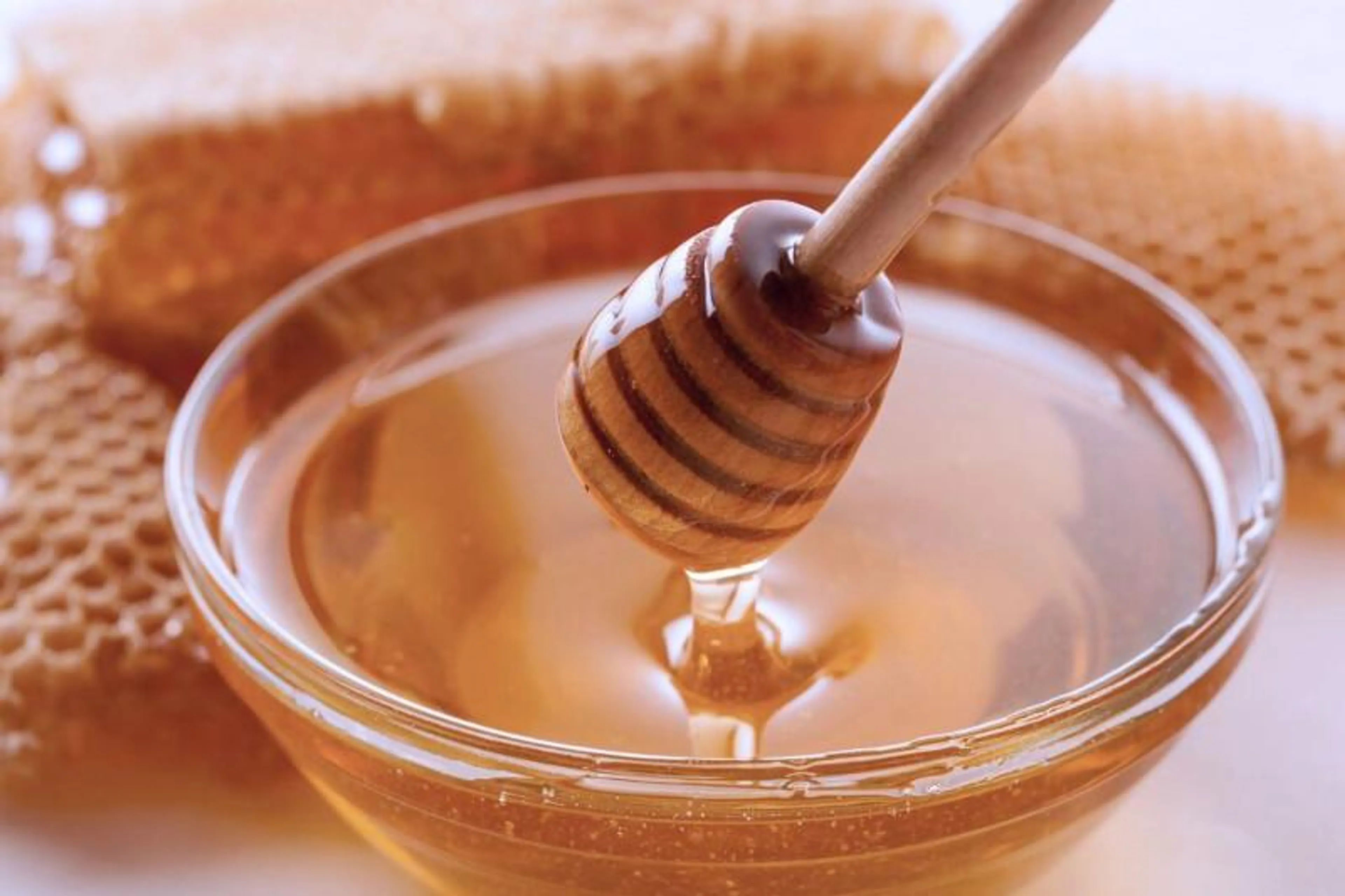 Капитал - Компании Китая намерены расширить закупки казахстанской продукции