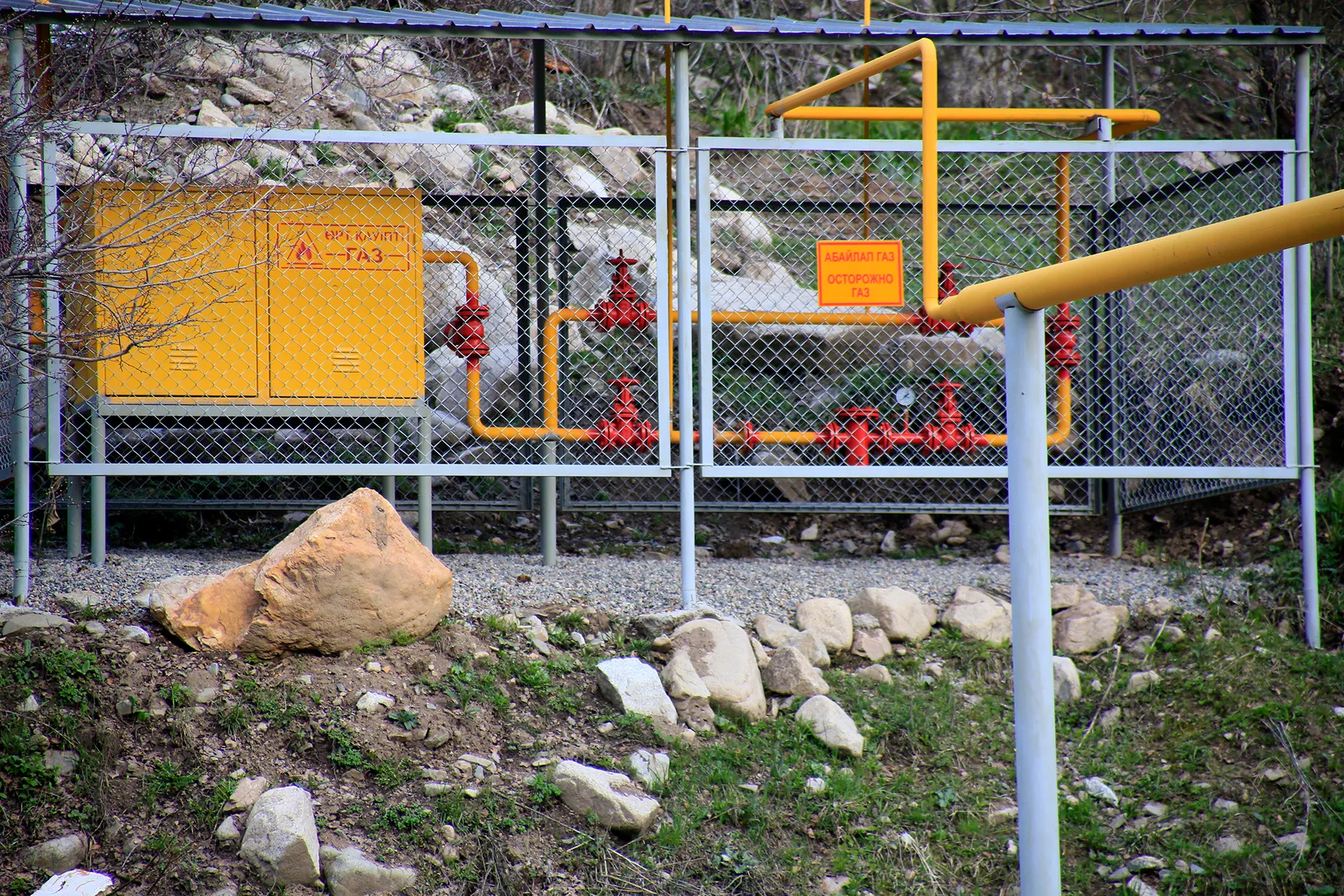 Фото: Руслан Пряников