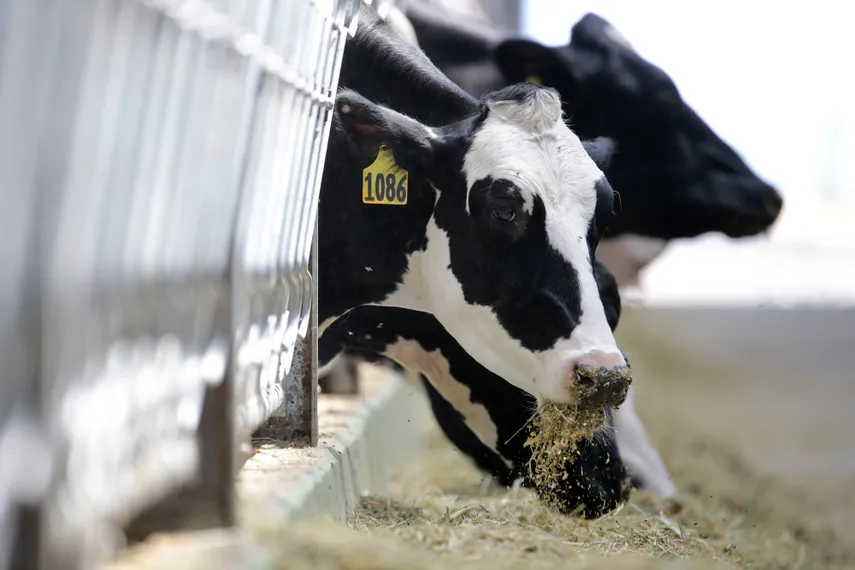 Капитал - В Павлодарской области из бюджета похитили 200 млн тенге