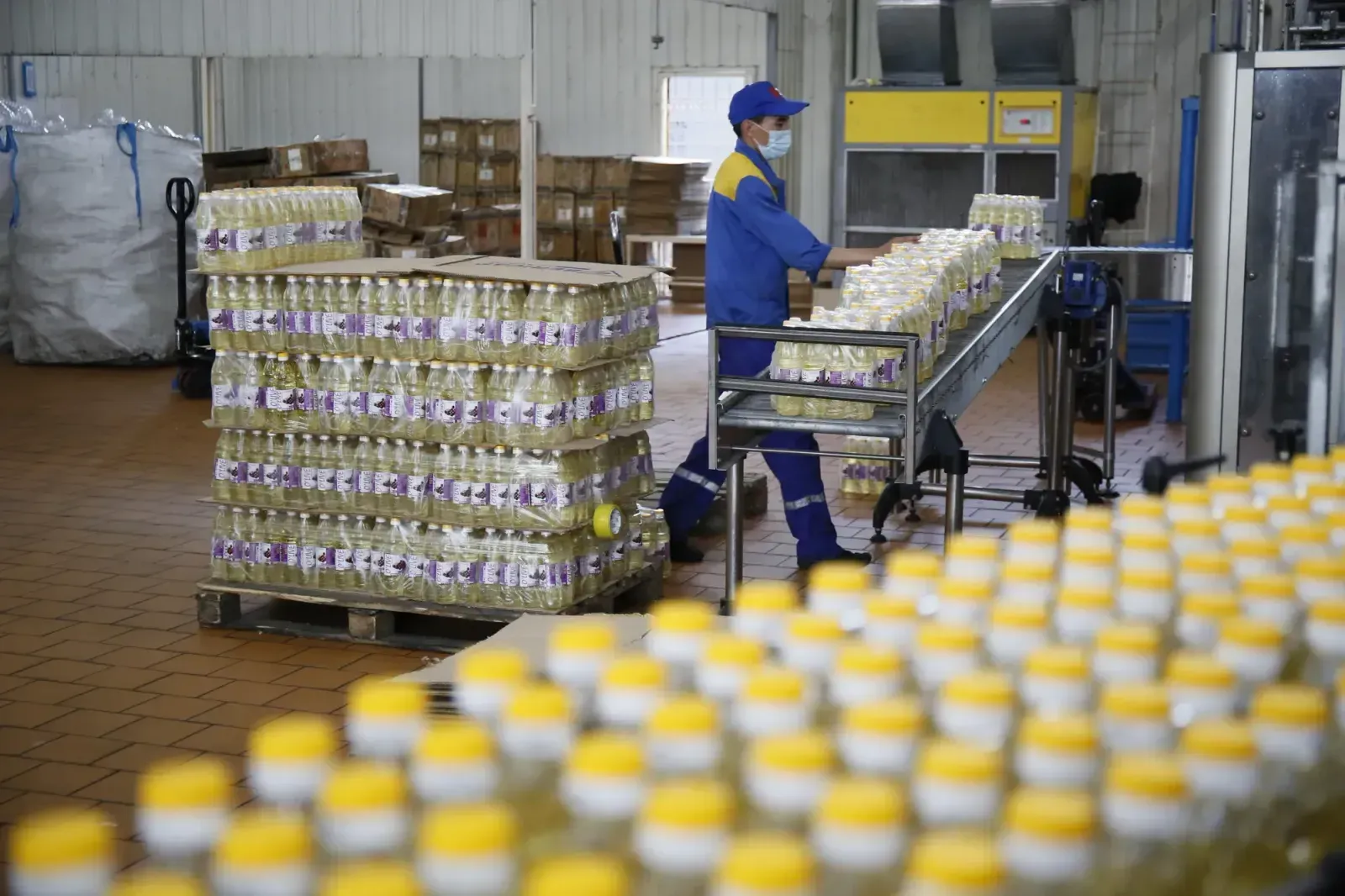 Семена подсолнечника подорожали на 60% с начала сезона 