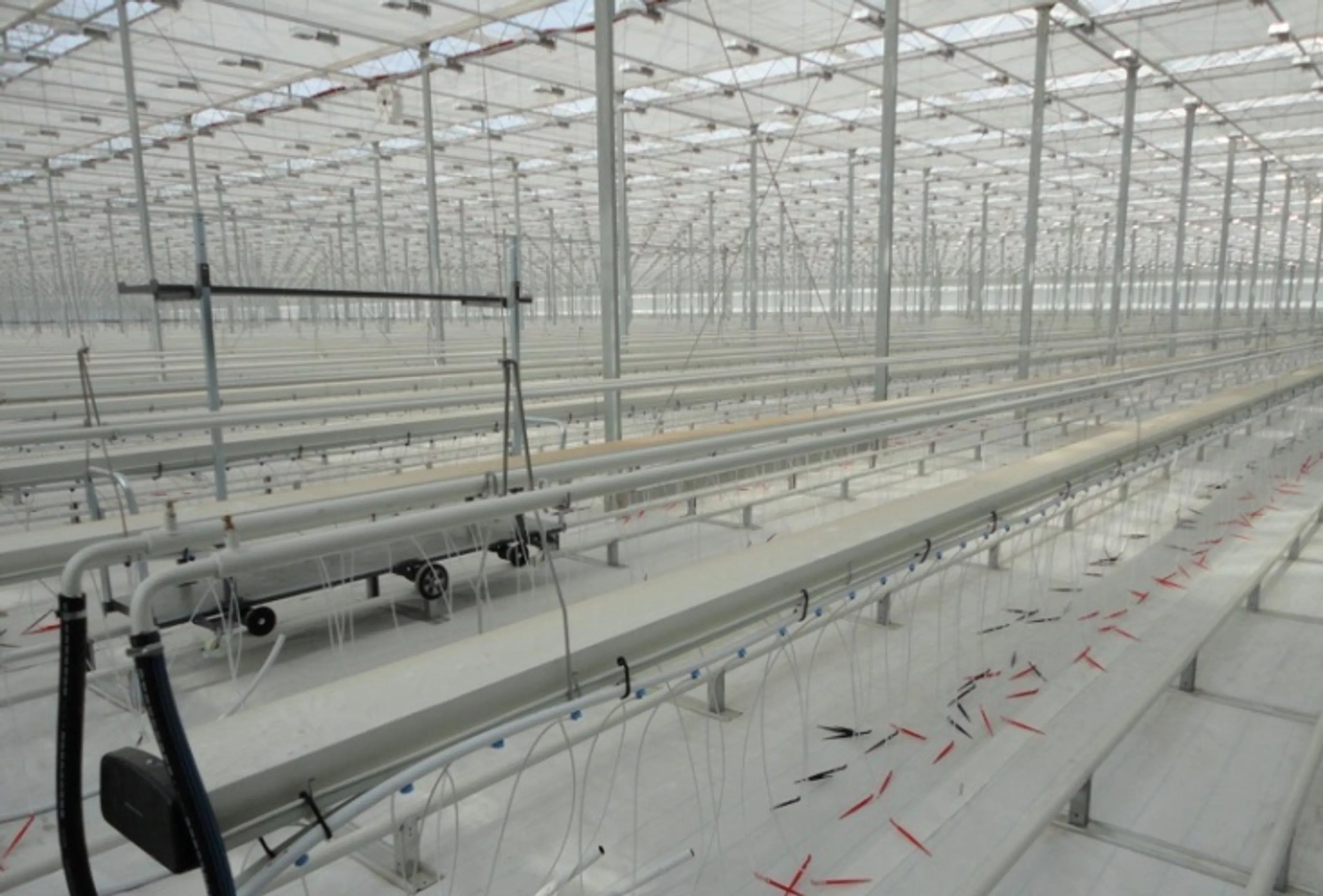 Капитал - Новейшая теплица заработала в Капшагае