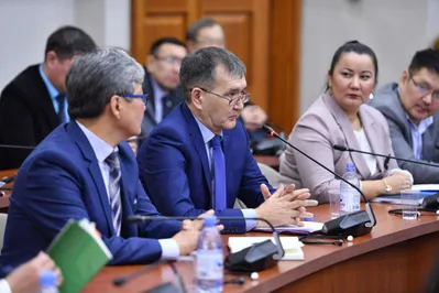 Представители НПО требуют усилить контроль над использованием земель