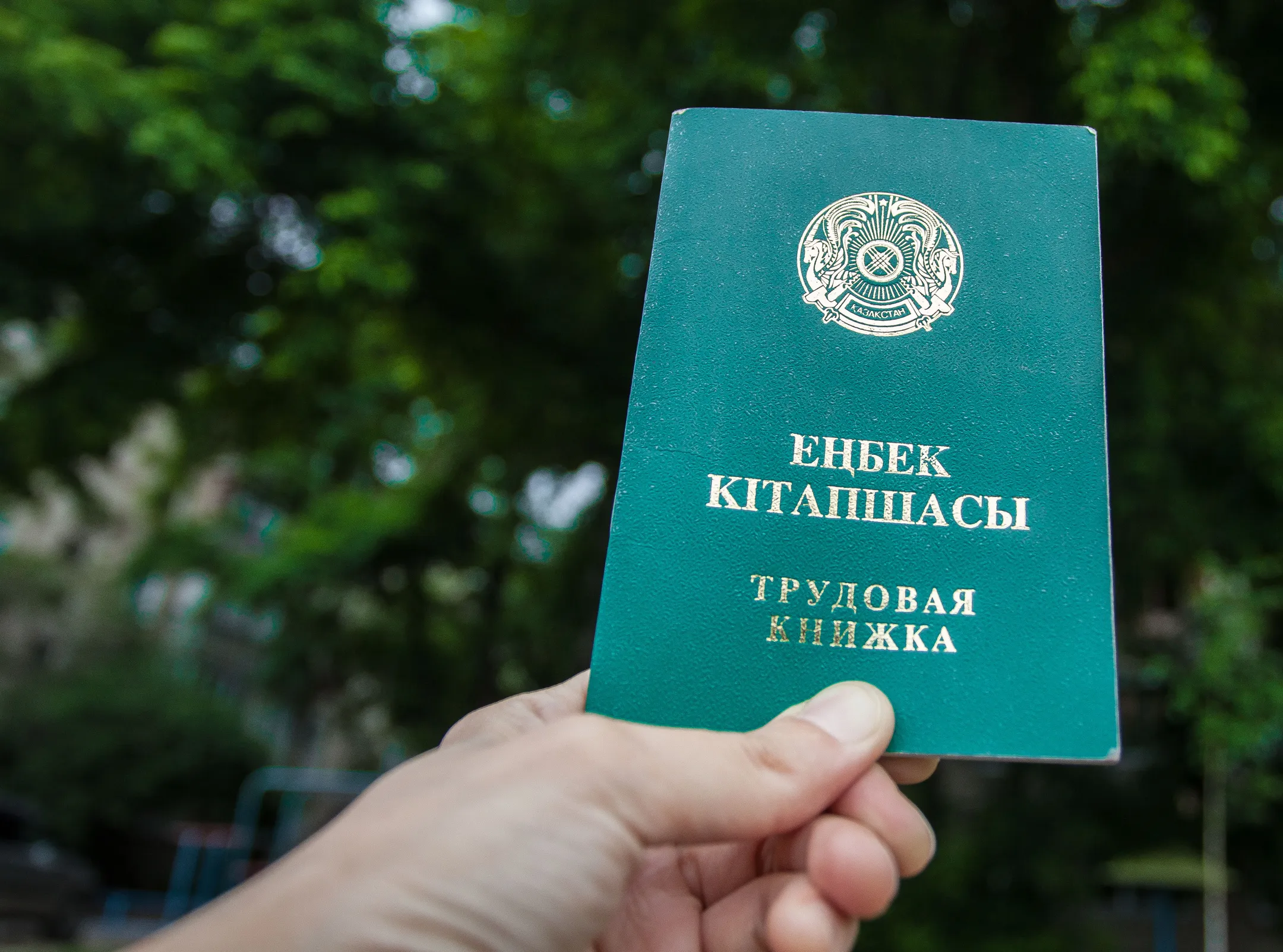 Названы самые востребованные специальности в РК - Image Kapital.kz